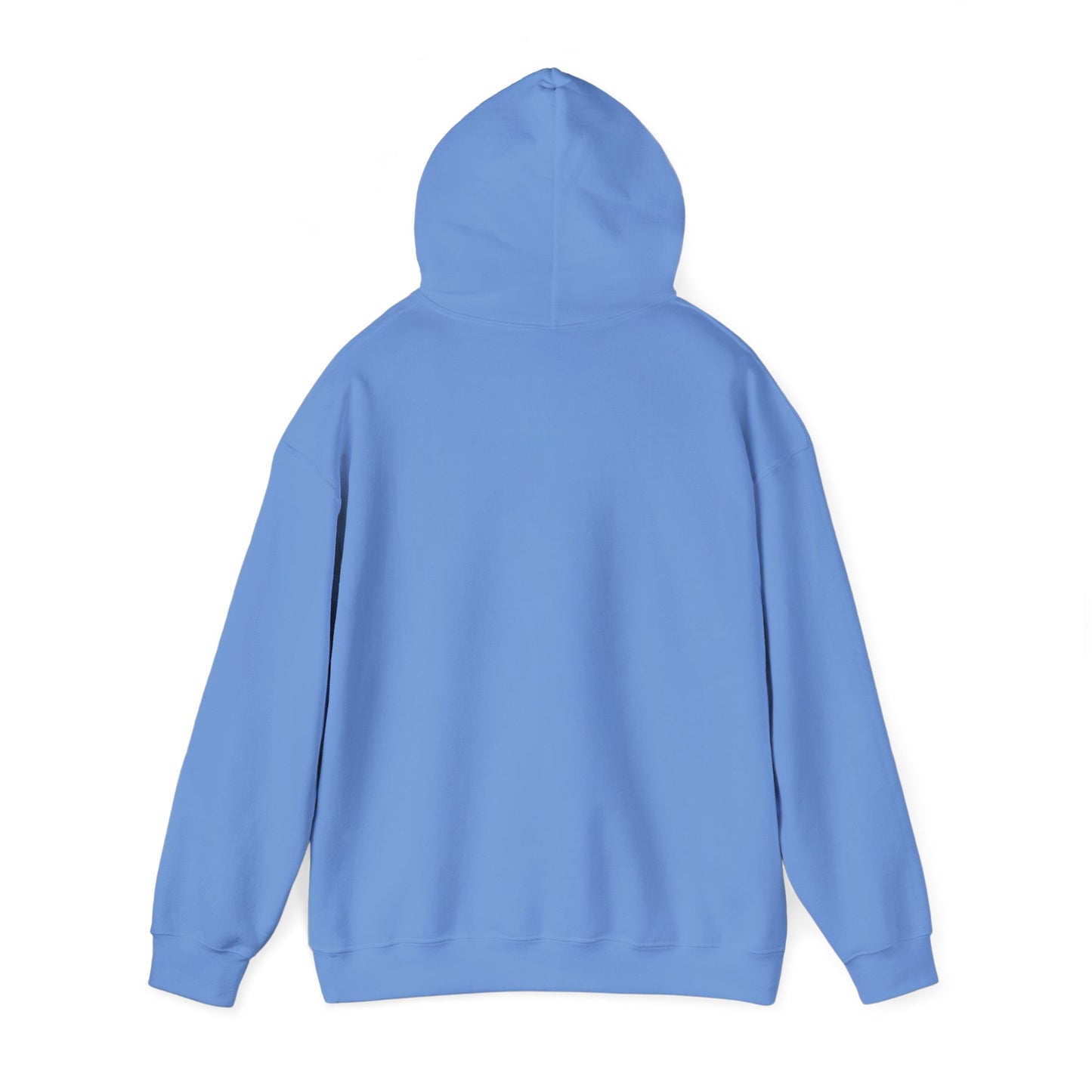 The Sneajer N Hoodie
