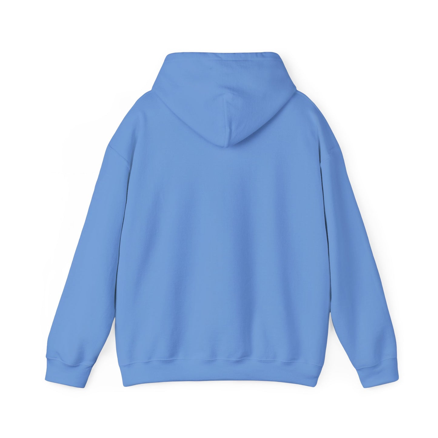 The Sneajer N Hoodie