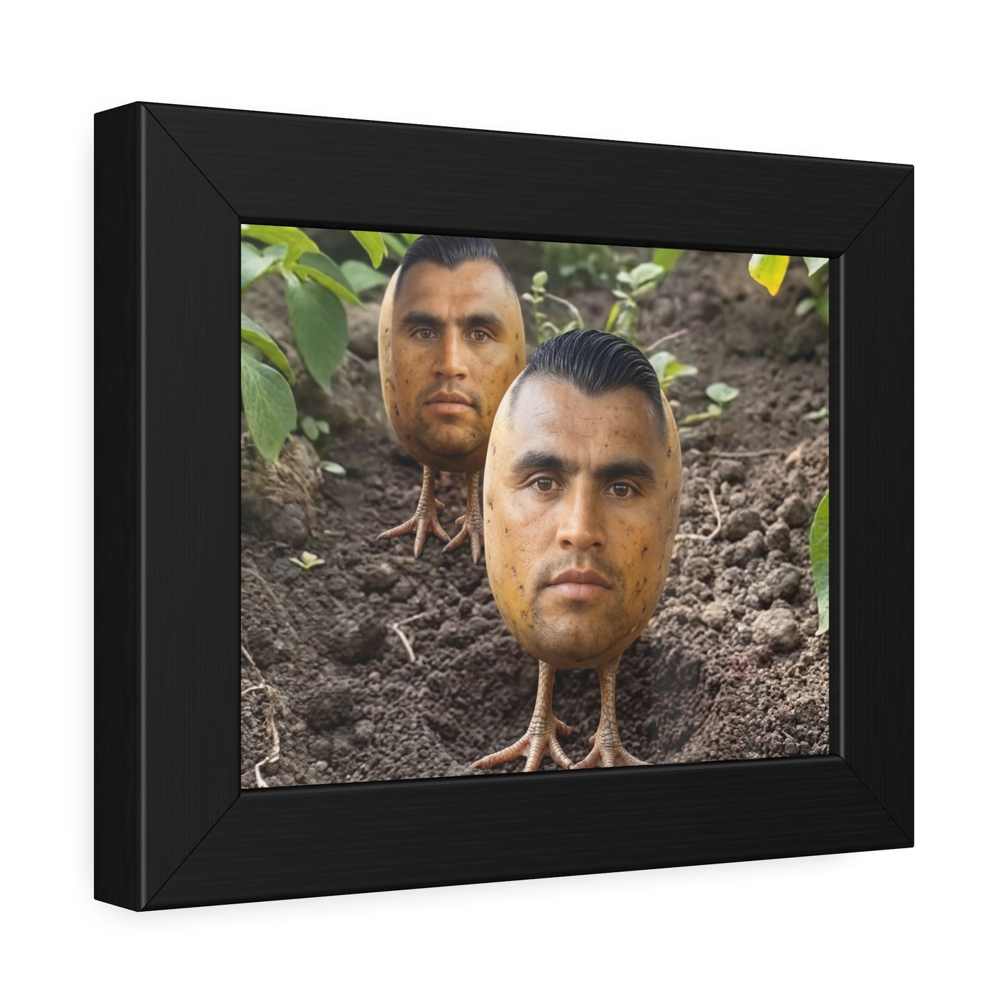 Potato Boys Framed Poster
