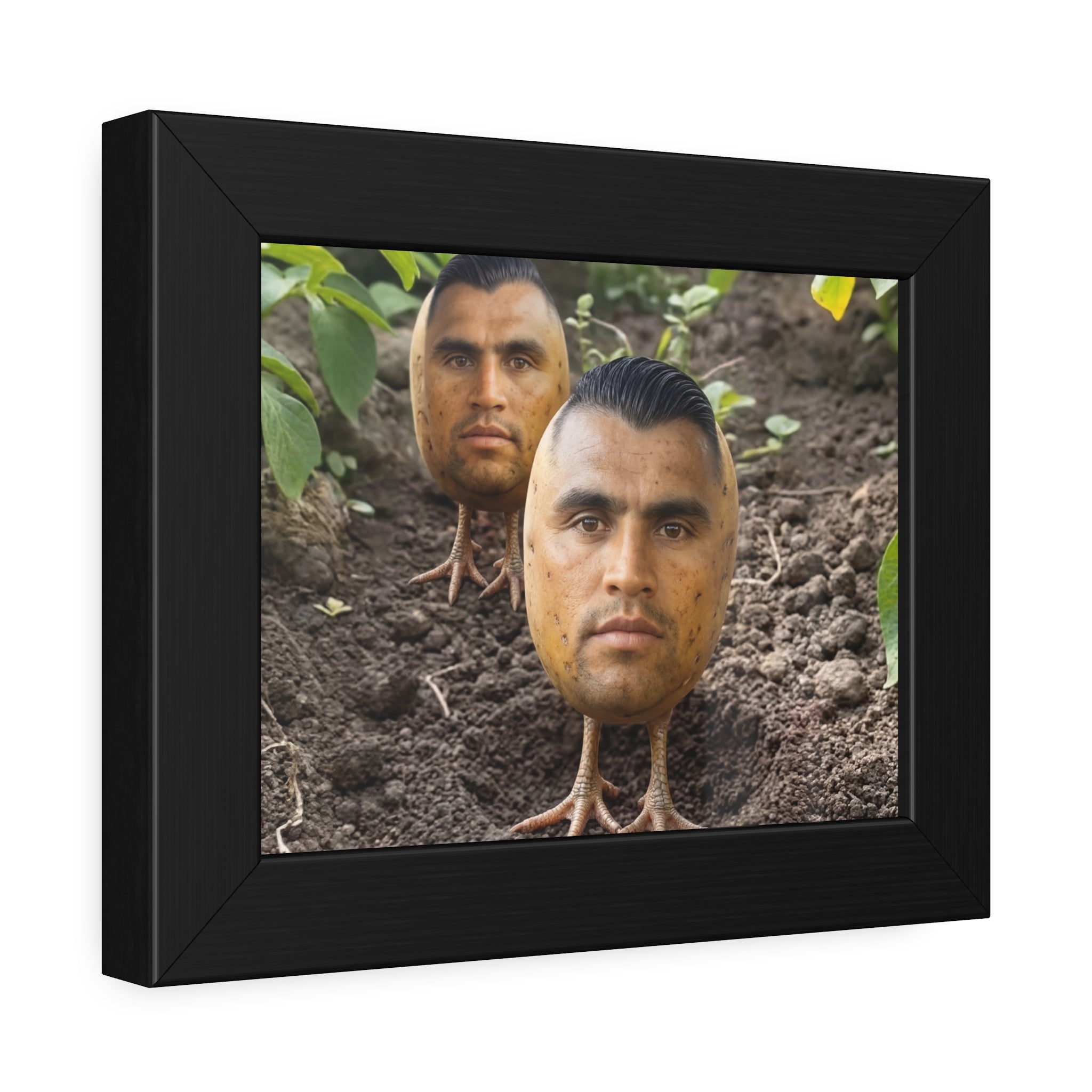 Potato Boys Framed Poster