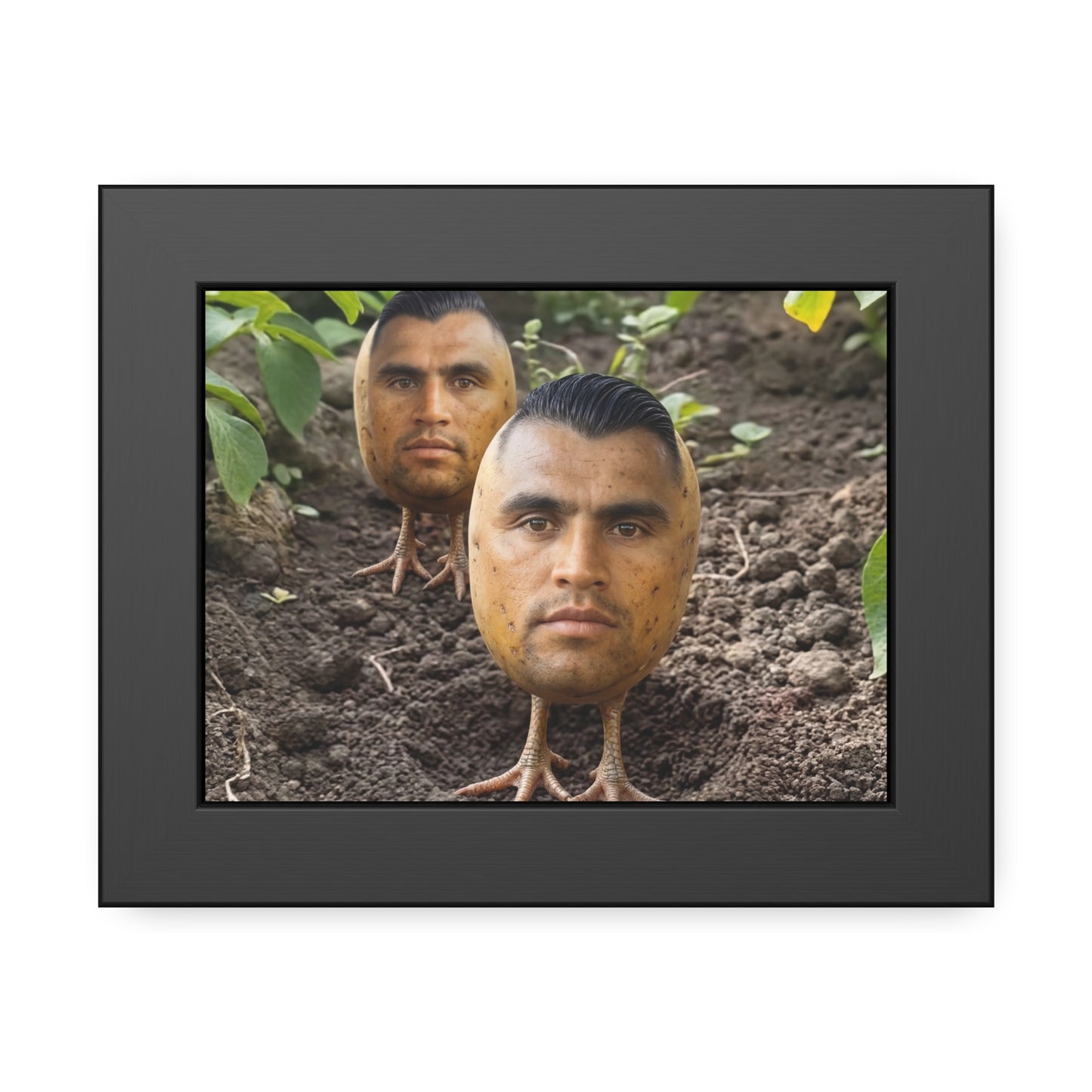 Potato Boys Framed Poster