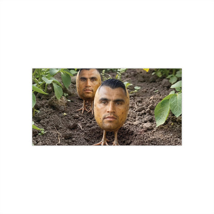 Potato Boys Bumper Sticker
